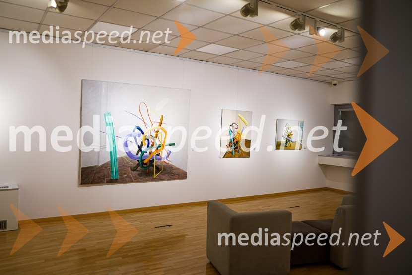 Odprtje razstave Roberta Lozarja v Generali galeriji