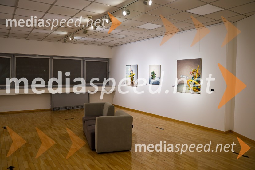 Odprtje razstave Roberta Lozarja v Generali galeriji