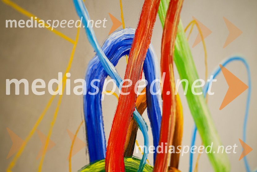 Odprtje razstave Roberta Lozarja v Generali galeriji