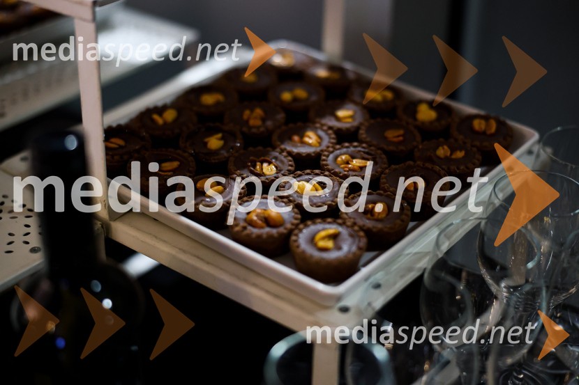 Odprtje razstave Roberta Lozarja v Generali galeriji