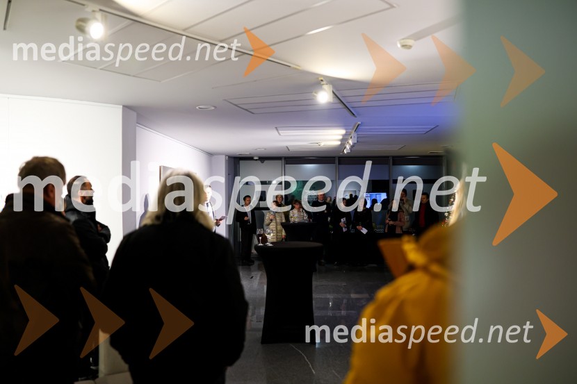 Odprtje razstave Roberta Lozarja v Generali galeriji