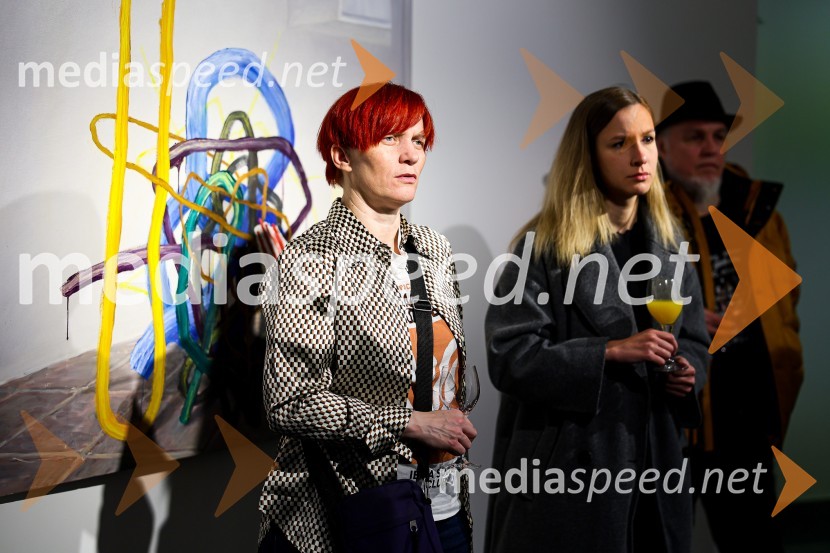 Odprtje razstave Roberta Lozarja v Generali galeriji