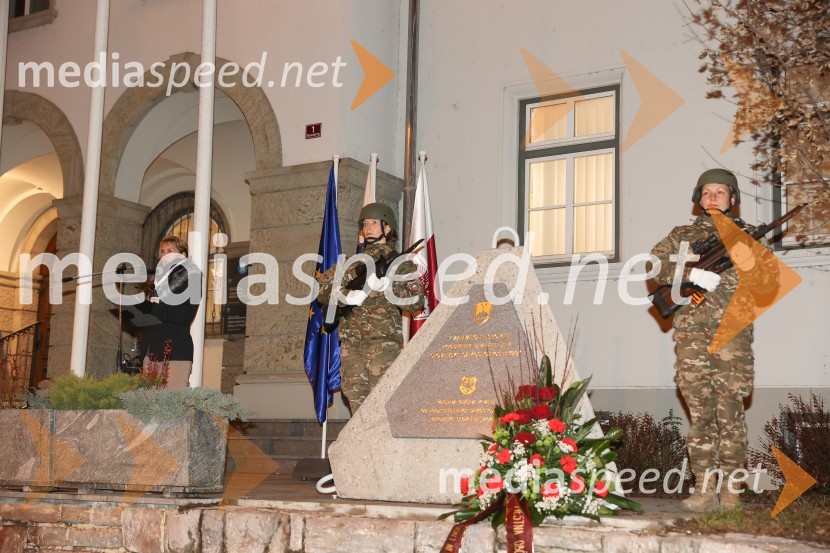  Ines Šmon, MOK;  ... ;  ... Spominska slovesnost ob dnevu samostojnosti in enotnosti, Mestna občina Kranj