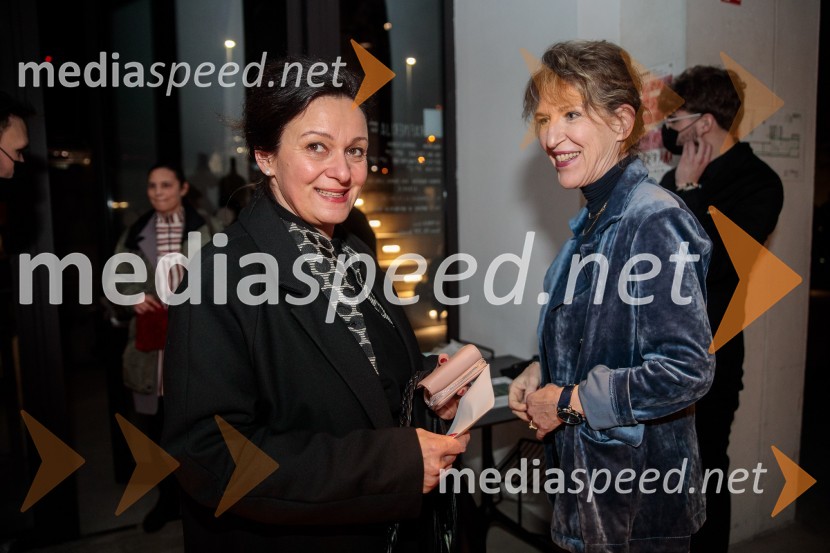  Barbara Koželj Podlogar, vršilka dolžnosti generalnega direktorja Direktorata za ustvarjalnost, Ministrstvo za kulturo;  Vesna Jurca Tadel, ravnateljice SNG Drama LjubljanaGibanje, premiera gledališke igre v Cukrarni