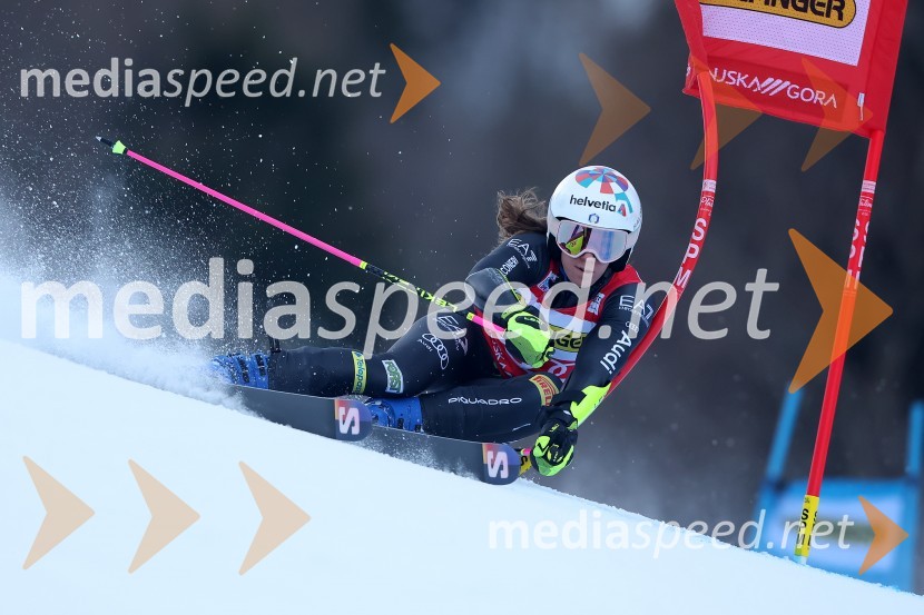 59. Zlata lisica, VIP sobota