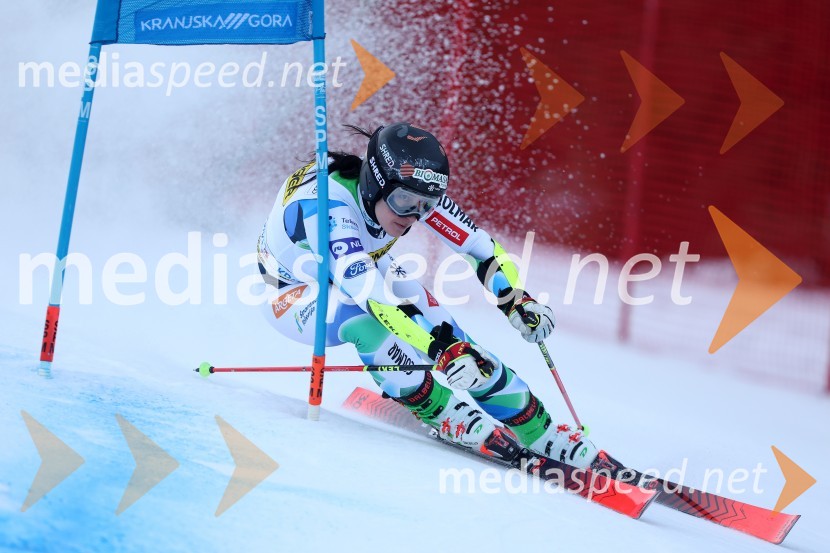 59. Zlata lisica, VIP sobota