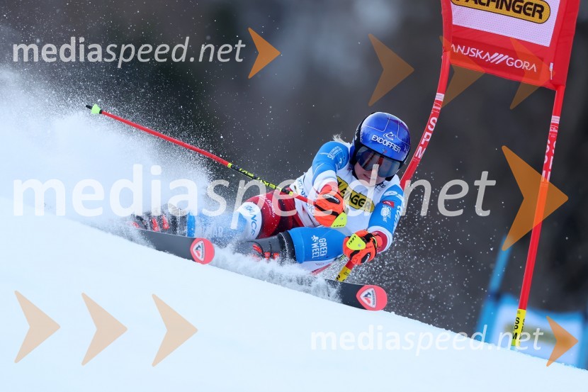 59. Zlata lisica, VIP sobota