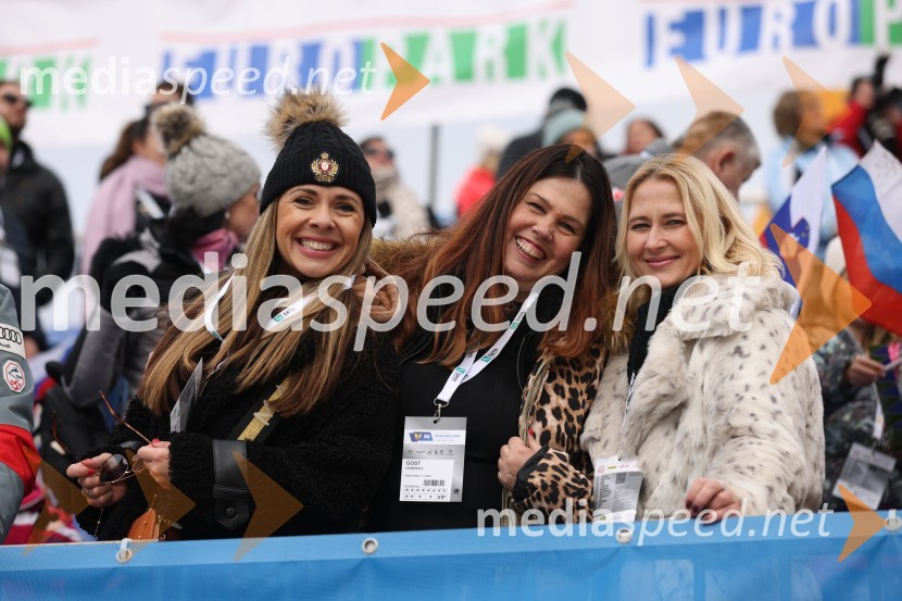  Viktorija Radojević Mavrič, direktorica marketinga in razvoja Mercator d.d.;  ... ;  ... 59. Zlata lisica, VIP sobota