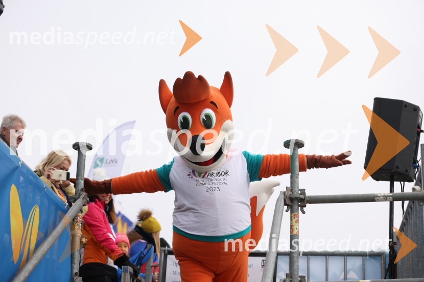 59. Zlata lisica, VIP sobota