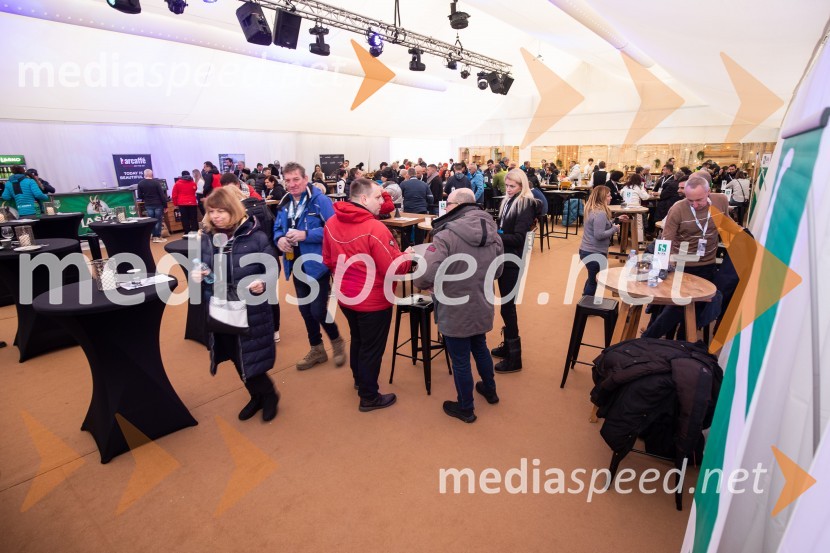 59. Zlata lisica, VIP sobota