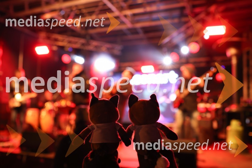 Sobotna podelitev in žreb, 59. Zlata lisica