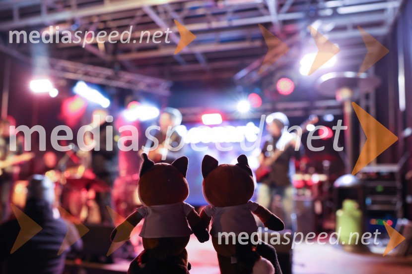 Sobotna podelitev in žreb, 59. Zlata lisica