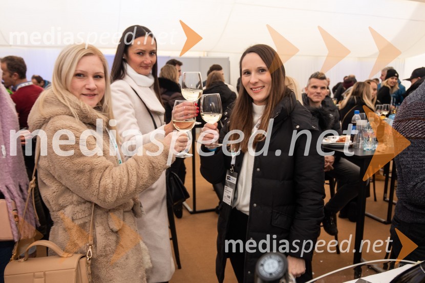 59. Zlata lisica, VIP sobota