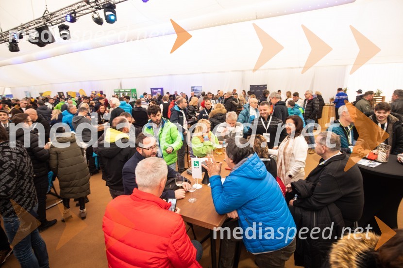 59. Zlata lisica, VIP sobota