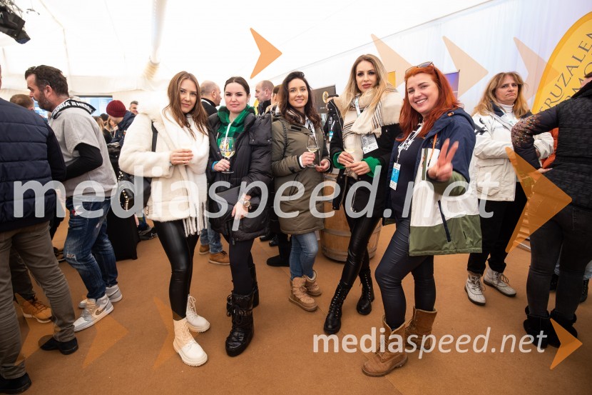 59. Zlata lisica, VIP sobota