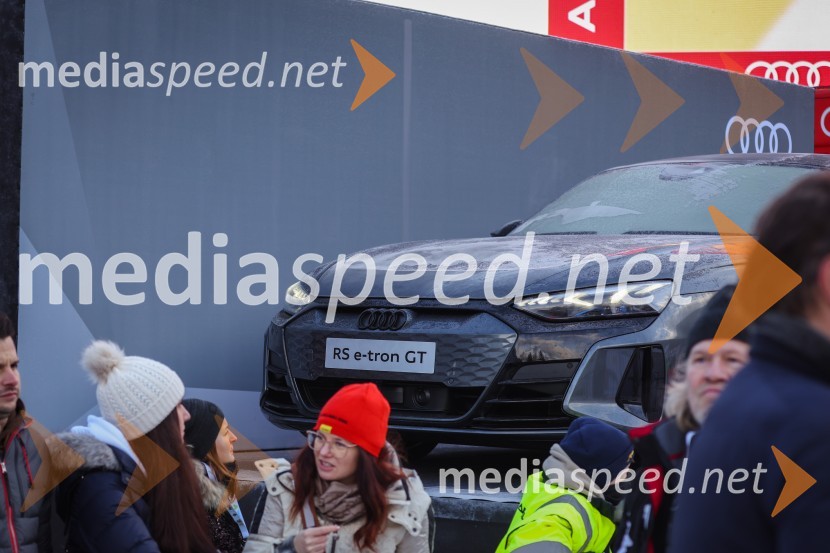 59. Zlata lisica, nedelja