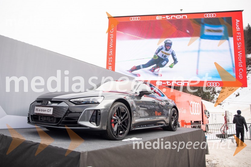 59. Zlata lisica, VIP sobota