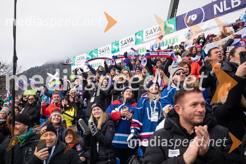 59. Zlata lisica, VIP sobota