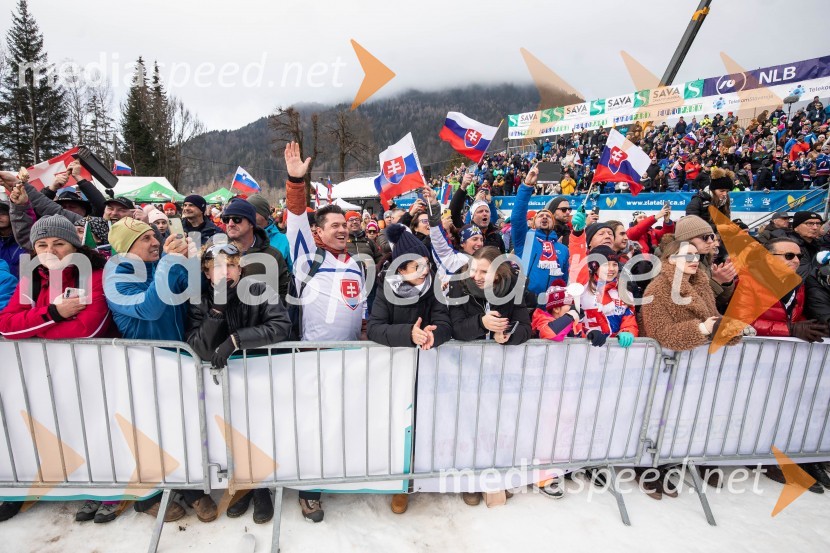 59. Zlata lisica, VIP sobota