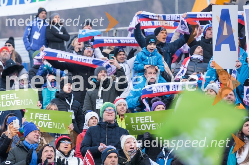 59. Zlata lisica, nedelja