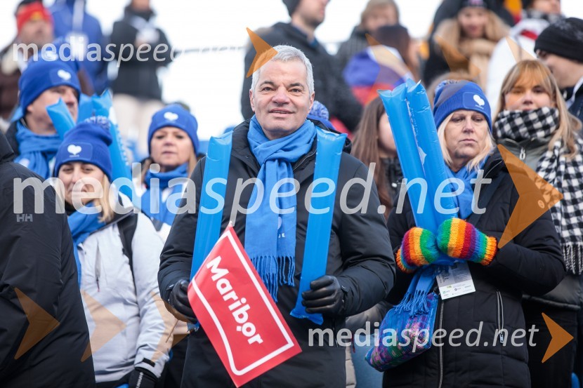  Aleksander Saša Arsenovič, župan, Mestna občina Maribor59. Zlata lisica, nedelja