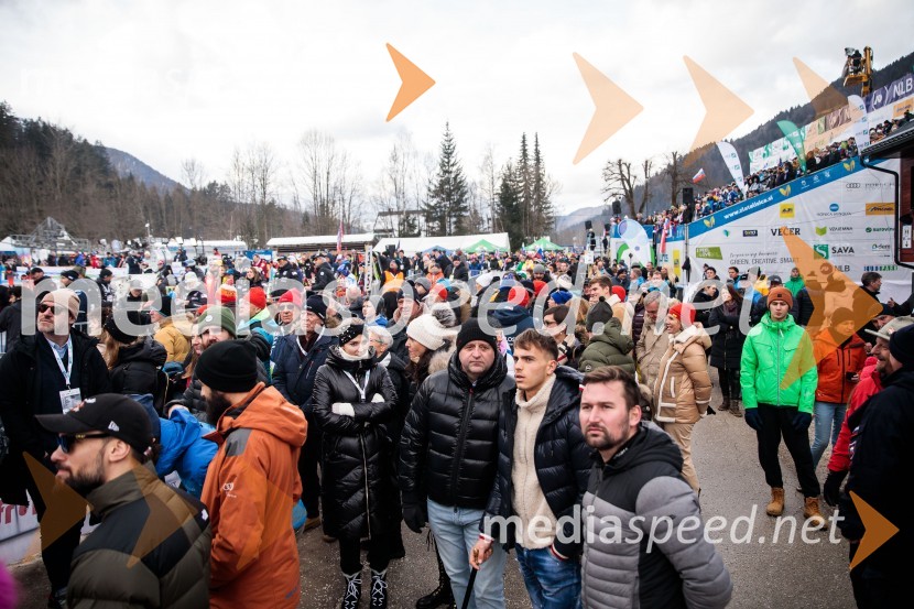 59. Zlata lisica, nedelja