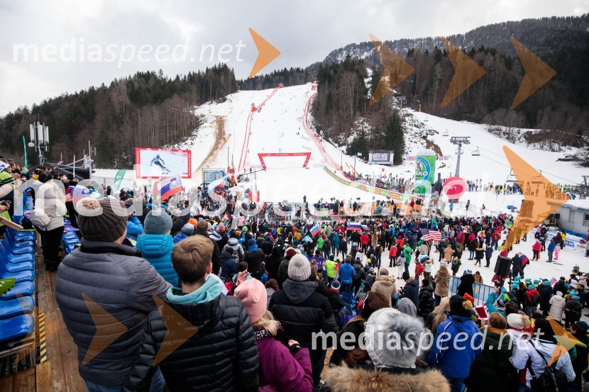 59. Zlata lisica, nedelja