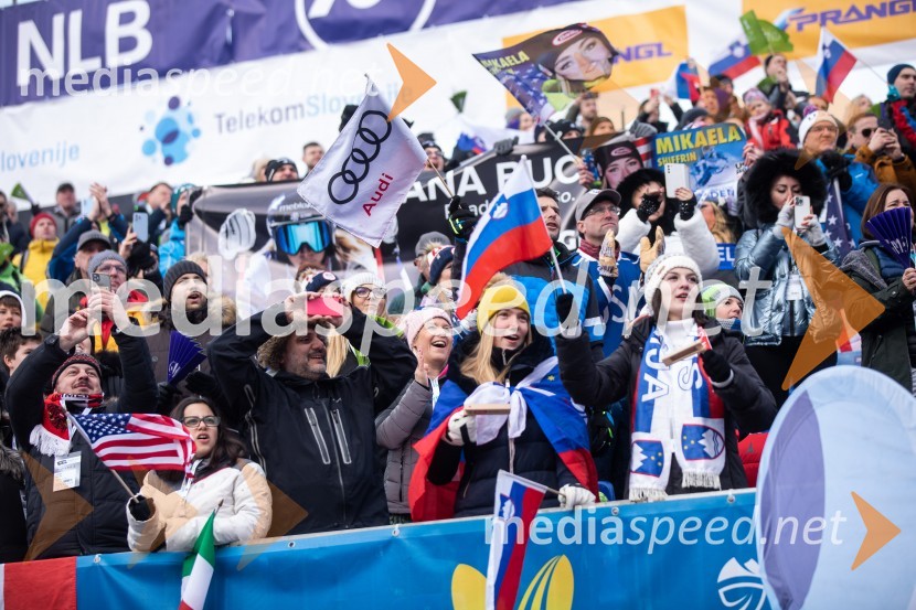 59. Zlata lisica, nedelja