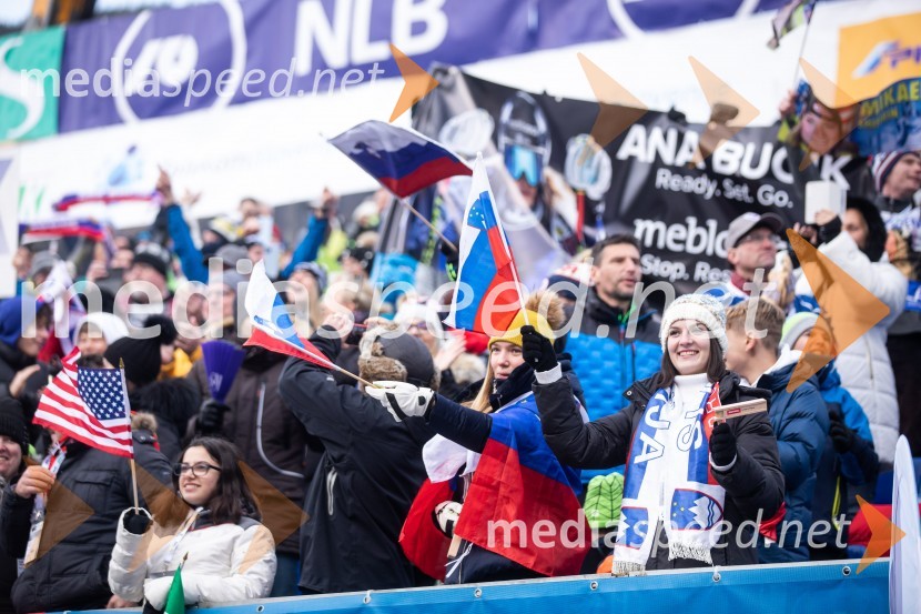 59. Zlata lisica, nedelja