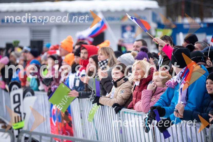 59. Zlata lisica, nedelja