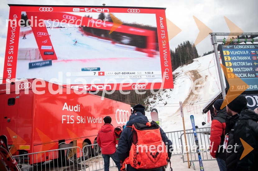 59. Zlata lisica, nedelja