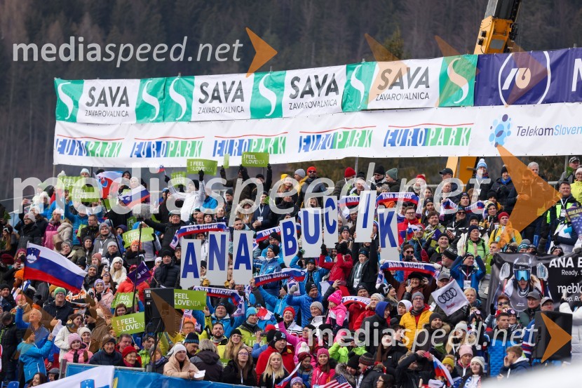 59. Zlata lisica, nedelja