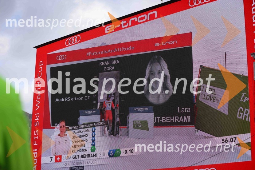 59. Zlata lisica, nedelja