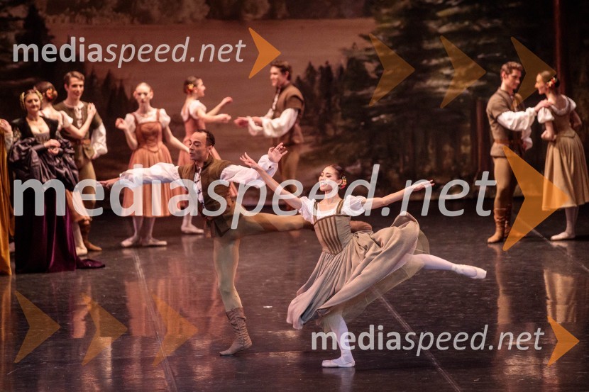 Giselle, romantični balet v dveh dejanjih