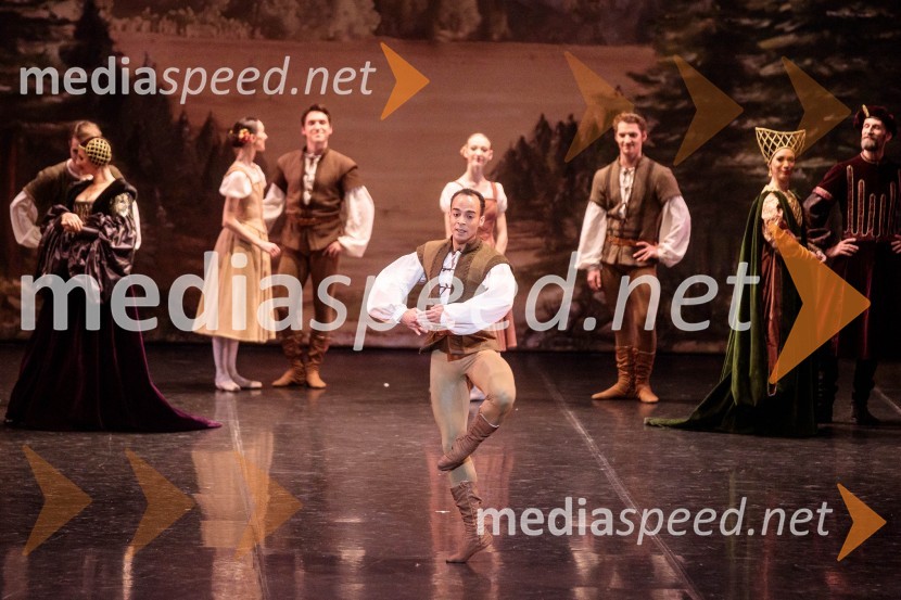 Giselle, romantični balet v dveh dejanjih