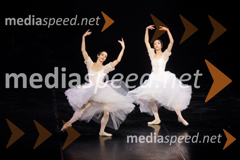 Giselle, romantični balet v dveh dejanjih