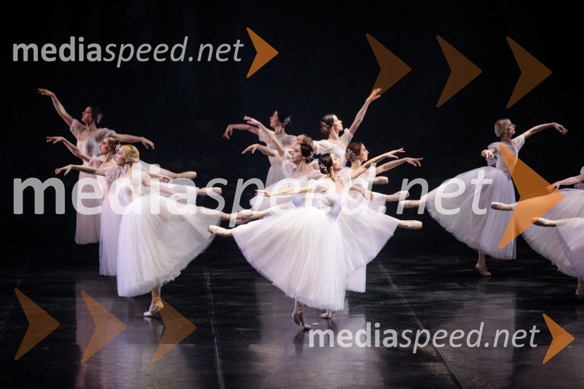 Giselle, romantični balet v dveh dejanjih