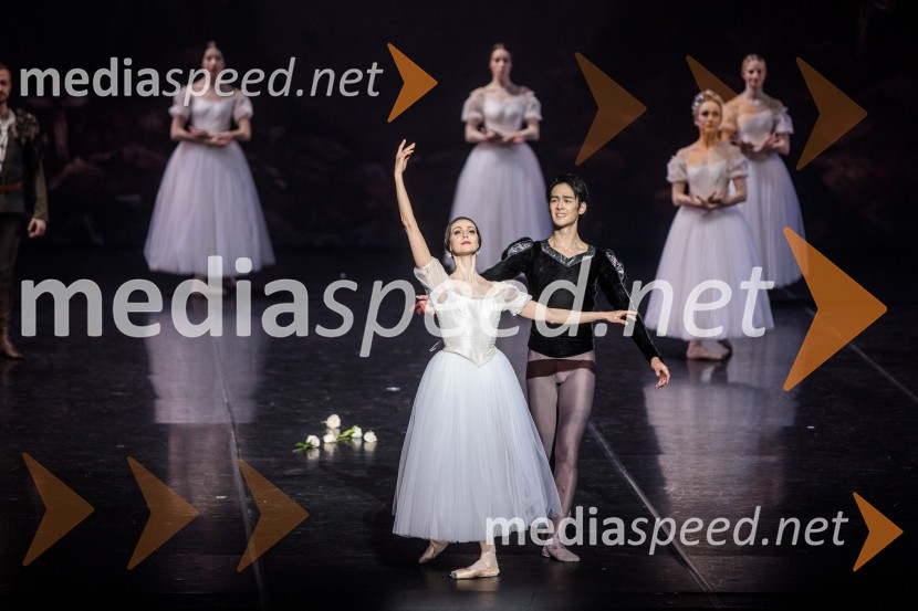  Anastasia Matvienko, baletna plesalka;  Kenta Yamamoto, baletnikGiselle, romantični balet v dveh dejanjih