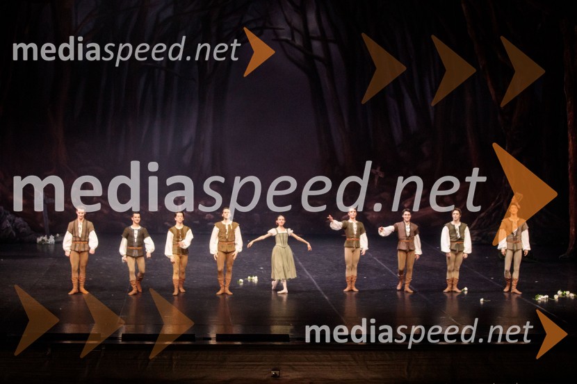 Giselle, romantični balet v dveh dejanjih