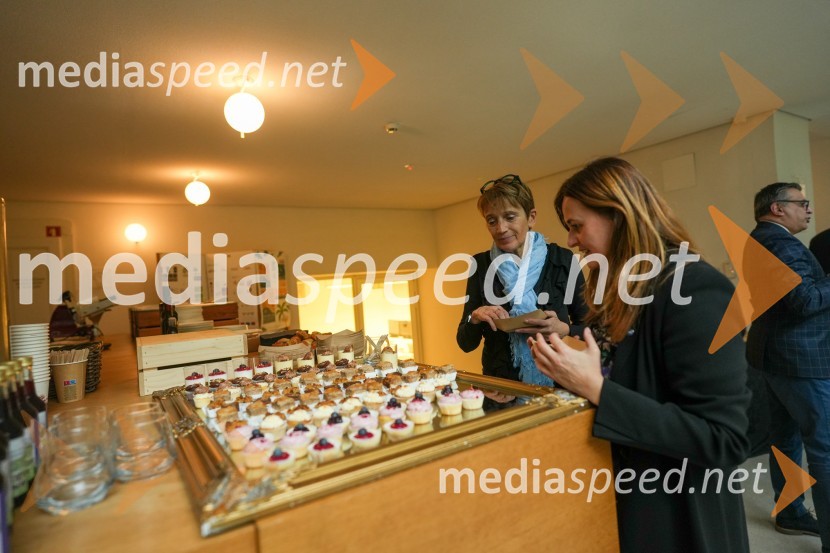  Anna Gregorio,  profesorica astronomije in astrofizike z Univerze v Trstu;  Silvia Ciccarelli, Aeronautic & Space TechnologiesLooking Beyond, otvoritev razstave satelitskih fotografij na Fakulteti za elektrotehniko, računalništvo in informatiko v Mariboru