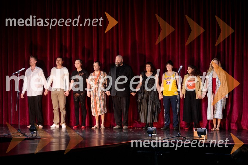  Matija  Vastl, igralec;  Matej Recer, igralec;  Stane Tomazin, igralec;  Blaž Šef, igralec;  Jerko Marčić, igralec;  Damjana Černe, igralka;  Janja Majzelj, igralka;  Lina Akif, igralka;  Ivana Percan Kodarin, igralkaStrah in beda Tretjega rajha, premiera predstave