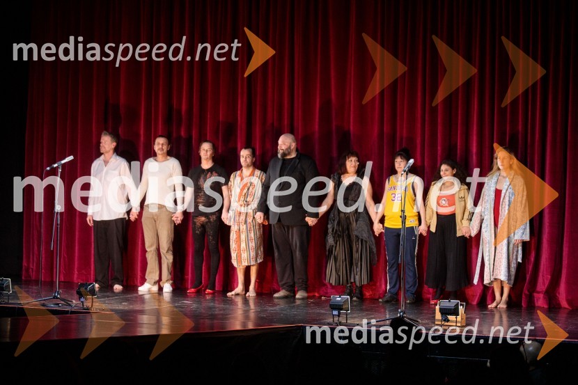  Matija  Vastl, igralec;  Matej Recer, igralec;  Stane Tomazin, igralec;  Blaž Šef, igralec;  Jerko Marčić, igralec;  Damjana Černe, igralka;  Janja Majzelj, igralka;  Lina Akif, igralka;  Ivana Percan Kodarin, igralkaStrah in beda Tretjega rajha, premiera predstave