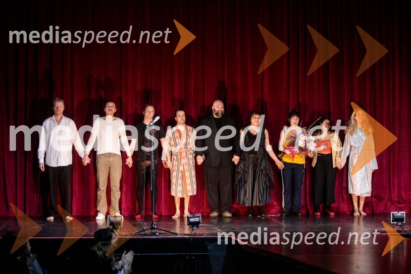  Matija  Vastl, igralec;  Matej Recer, igralec;  Stane Tomazin, igralec;  Blaž Šef, igralec;  Jerko Marčić, igralec;  Damjana Černe, igralka;  Janja Majzelj, igralka;  Lina Akif, igralka;  Ivana Percan Kodarin, igralkaStrah in beda Tretjega rajha, premiera predstave