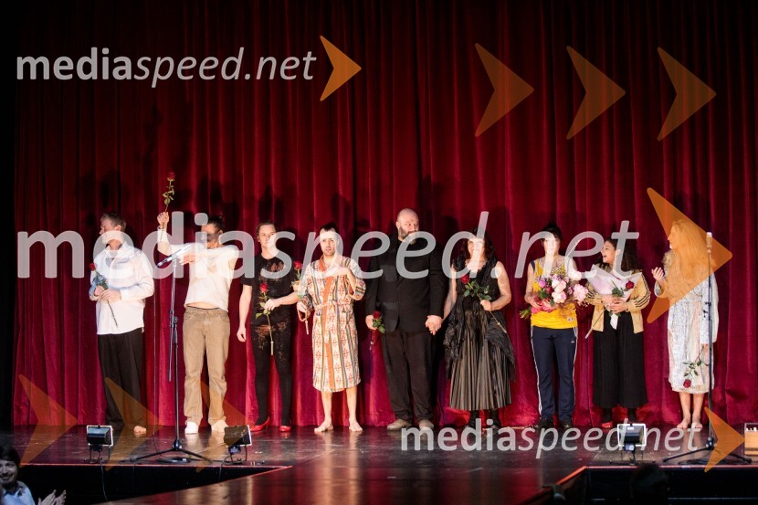  Matija  Vastl, igralec;  Matej Recer, igralec;  Stane Tomazin, igralec;  Blaž Šef, igralec;  Jerko Marčić, igralec;  Damjana Černe, igralka;  Janja Majzelj, igralka;  Lina Akif, igralka;  Ivana Percan Kodarin, igralkaStrah in beda Tretjega rajha, premiera predstave