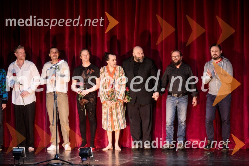  Matija  Vastl, igralec;  Matej Recer, igralec;  Stane Tomazin, igralec;  Blaž Šef, igralec;  Jerko Marčić, igralec;  Sebastijan  Horvat, režiser;  Milan Ramšak Marković, dramaturgStrah in beda Tretjega rajha, premiera predstave