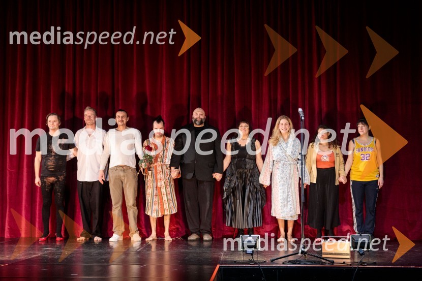  Stane Tomazin, igralec;  Matija  Vastl, igralec;  Matej Recer, igralec;  Blaž Šef, igralec;  Jerko Marčić, igralec;  Damjana Černe, igralka;  Ivana Percan Kodarin, igralka;  Lina Akif, igralka;  Janja Majzelj, igralkaStrah in beda Tretjega rajha, premiera predstave