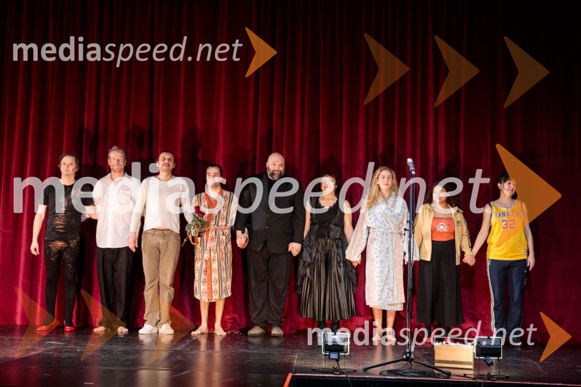  Stane Tomazin, igralec;  Matija  Vastl, igralec;  Matej Recer, igralec;  Blaž Šef, igralec;  Jerko Marčić, igralec;  Damjana Černe, igralka;  Ivana Percan Kodarin, igralka;  Lina Akif, igralka;  Janja Majzelj, igralkaStrah in beda Tretjega rajha, premiera predstave