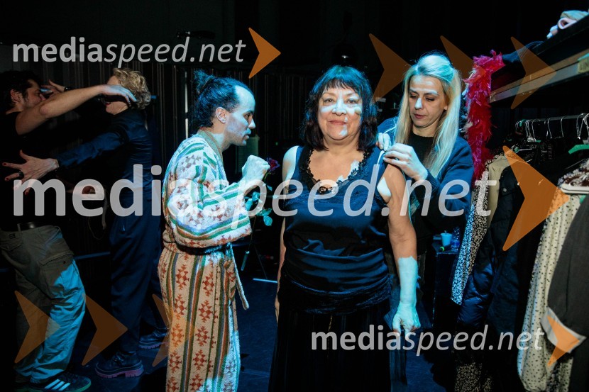  Blaž Šef, igralec;  Damjana Černe, igralka;  ... Strah in beda Tretjega rajha, premiera predstave