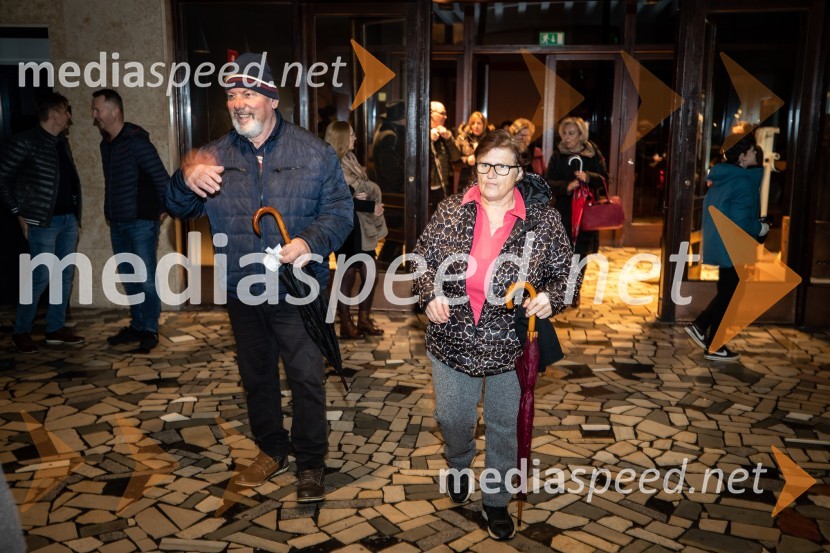Primeri inšpektorja Vrenka, predpremiera v Gledališču Park