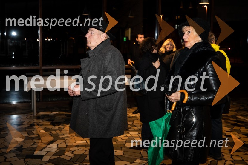 Primeri inšpektorja Vrenka, predpremiera v Gledališču Park